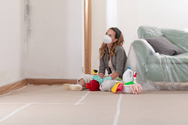 Reliable Mold Remediation contractor in Mountainside, NJ by Cheap Mold Removal
